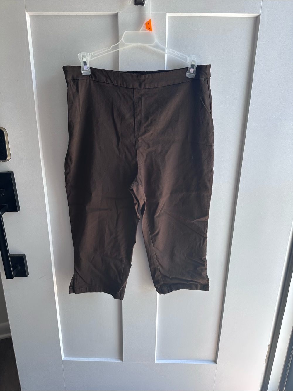Brown Capri